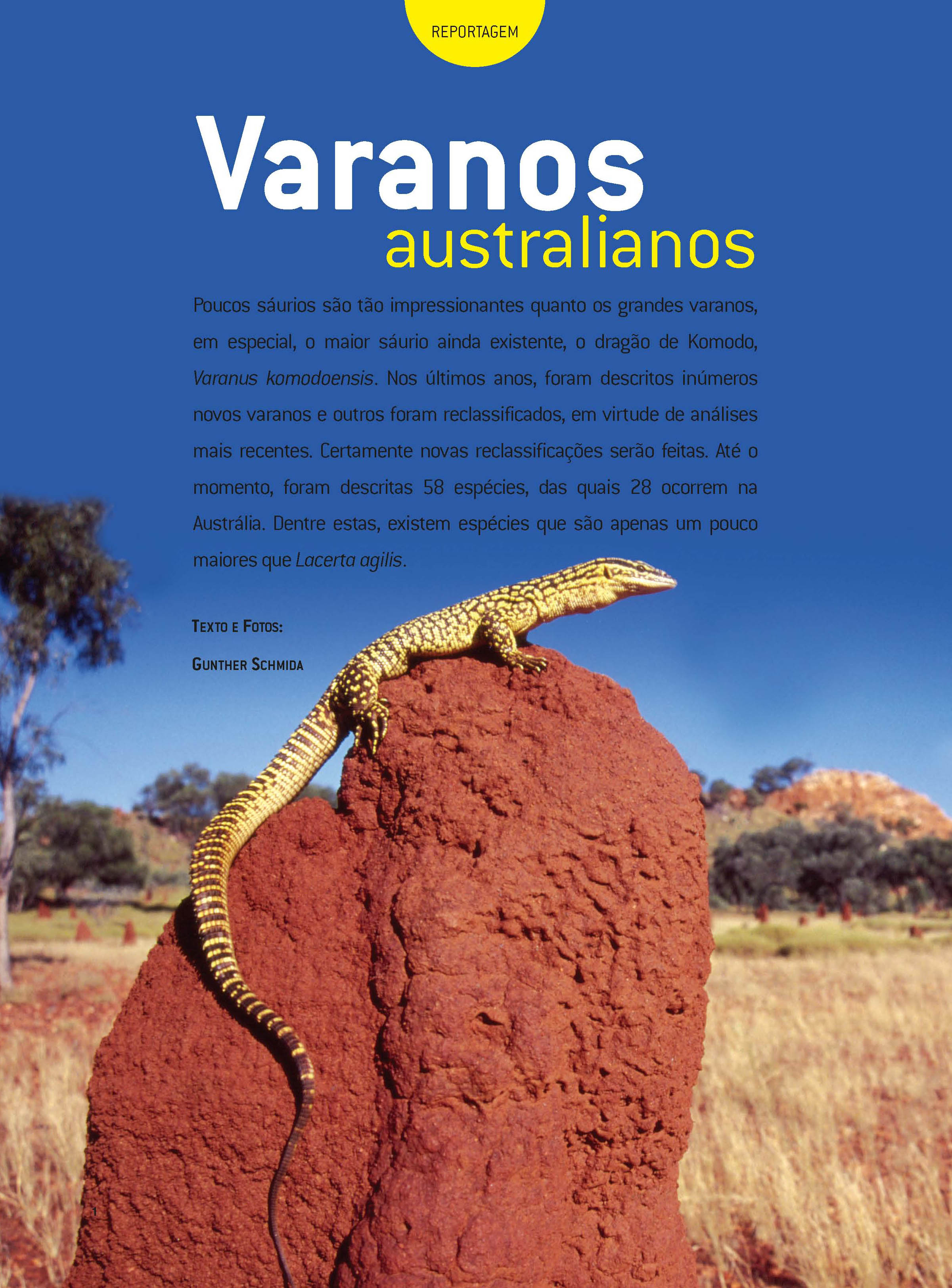 Varanus1