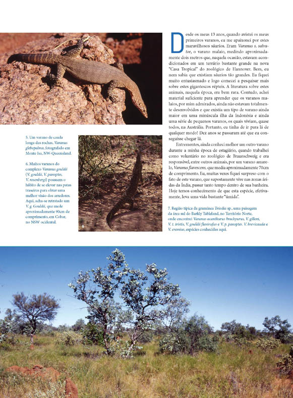 Varanus2